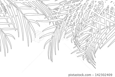 棕櫚葉背景,壁紙,熱帶背景。 棕櫚葉背景,壁紙,熱帶背景。 142302409
