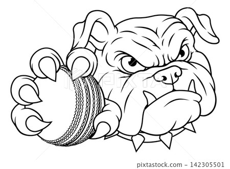 Bulldog Dog Cricket Ball Cartoon Sport Team Mascot Bulldog Dog Cricket Ball Cartoon Sport Team Mascot 142305501