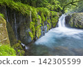 Kikuchi Gorge 142305599