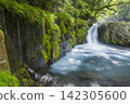 Kikuchi Gorge 142305600