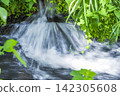 Clear stream 142305608