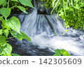 Clear stream 142305609