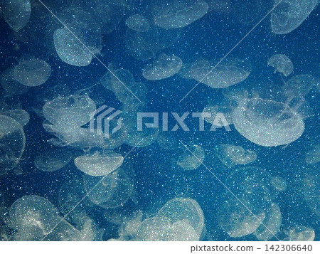遊戲背景：水母漂浮在繁星點點的夜空中。 142306640