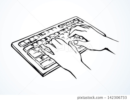 Hands on the keyboard. Vector drawing Hands on the keyboard. Vector drawing 142306733