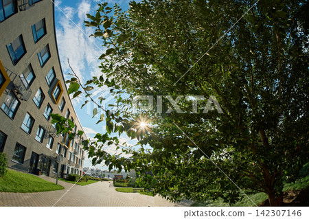 Modern Residential Architecture and Sunstar Through Tree Branches Modern Residential Architecture and Sunstar Through Tree Branches 142307146