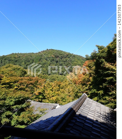 Kyoto, Rurikoin Temple, roof, autumn 142307303