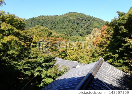 Kyoto, Rurikoin Temple, roof, autumn Kyoto, Rurikoin Temple, roof, autumn 142307309