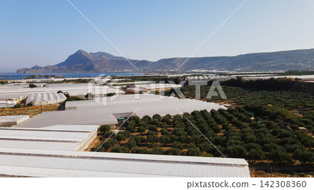 Modern agriculture with numerous vast greenhouses and olive trees growing in coastal plains of Crete, Greece Modern agriculture with numerous vast greenhouses and olive trees growing in coastal plains of Crete, Greece 142308360
