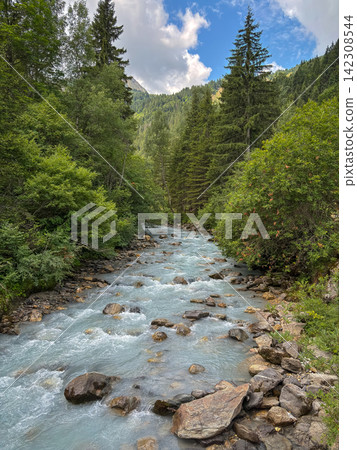 Alpine river flowing through forest in Les Contamines-Montjoie, France Alpine river flowing through forest in Les Contamines-Montjoie, France 142308544