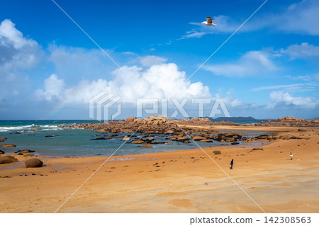 Wide sandy beach overlooking rocky islet in Tregastel, Brittany, France 142308563