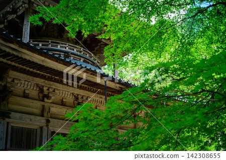 Koyasan在夏天 Koyasan在夏天 142308655