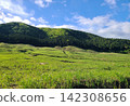 初夏時節，山巒疊嶂，高原草原風光，藍天白雲（留白） 142308656