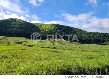 初夏時節,山巒疊嶂,高原草原風光,藍天白雲(留白) 初夏時節,山巒疊嶂,高原草原風光,藍天白雲(留白) 142308656