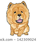 鬆獅犬 142309024