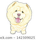 鬆獅犬 142309025