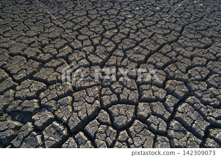 Cracked dry pond bed during severe drought Cracked dry pond bed during severe drought 142309073