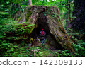 The Jizo statue in the wooden shrine at the inner sanctuary 142309133