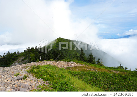 從東九重山頂眺望西九重山。 從東九重山頂眺望西九重山。 142309195