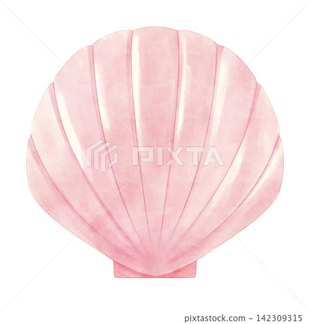 Pink seashell watercolor illustration Pink seashell watercolor illustration 142309315