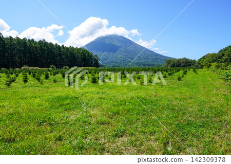 從吹出公園的觀景台更遠處看到的羊蹄山。 從吹出公園的觀景台更遠處看到的羊蹄山。 142309378