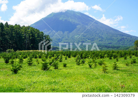 從吹出公園的觀景台更遠處看到的羊蹄山。 從吹出公園的觀景台更遠處看到的羊蹄山。 142309379