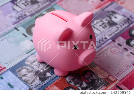 A piggy bank as a concept for storing, accumulating, and saving financial resources. A piggy bank A piggy bank as a concept for storing, accumulating, and saving financial resources. A piggy bank 142309545