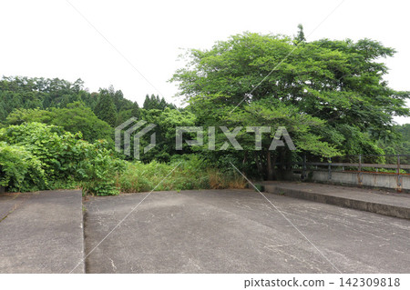 Taihakusan Second Bridge - Dead End Bridge (Sendai City, Miyagi Prefecture) 142309818