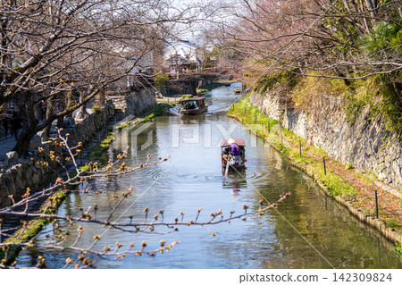 【傳統建築群重要保護區】滋賀縣近江八幡市八幡堀五號河道春景 【傳統建築群重要保護區】滋賀縣近江八幡市八幡堀五號河道春景 142309824