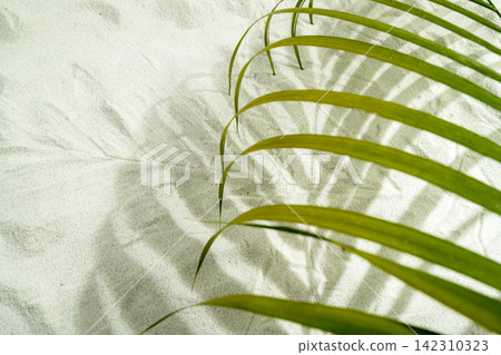 Green palm leaf casting a striped shadow on fine white sand, creating a tropical summer background. Summer, natural or texture background Green palm leaf casting a striped shadow on fine white sand, creating a tropical summer background. Summer, natural or texture background 142310323