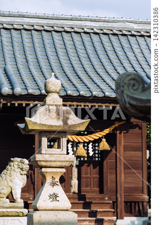 日本神社的庭院裡排列著石燈籠和守護獅犬。 142310386