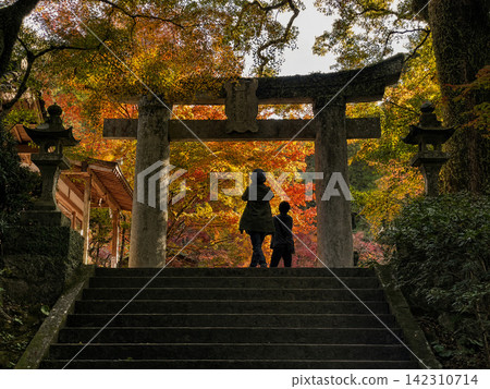 Walking through the temple grounds in autumn while admiring the autumn leaves Walking through the temple grounds in autumn while admiring the autumn leaves 142310714