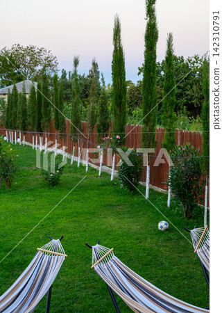 A serene outdoor photo featuring a well-maintained lawn dominated by vibrant green and striped hammocks in early morning or dusk light 142310791