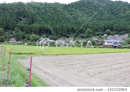 Fresh greenery and rural scenery of the thatched-roof village in Miyama, Kyoto Prefecture Fresh greenery and rural scenery of the thatched-roof village in Miyama, Kyoto Prefecture 142310964