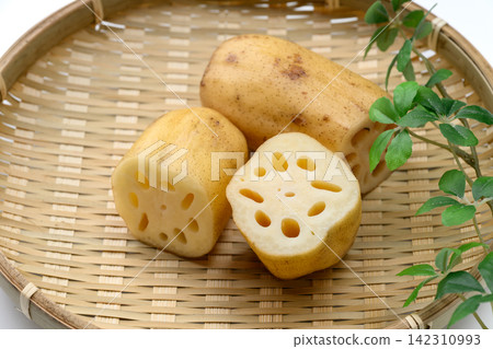 Fresh lotus root and cross-section served in a bamboo basket Fresh lotus root and cross-section served in a bamboo basket 142310993