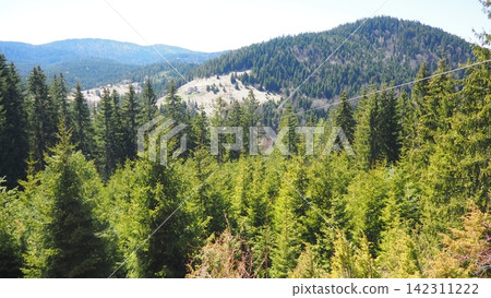 Zlatibor, Serbia, a natural rural landscape. View of the mountains with a spruce forest in spring in April. Ethno tourism in the Balkans. Balkan Range, Zlatar. Suburb of Nova Varosh, National Park. Zlatibor, Serbia, a natural rural landscape. View of the mountains with a spruce forest in spring in April. Ethno tourism in the Balkans. Balkan Range, Zlatar. Suburb of Nova Varosh, National Park. 142311222
