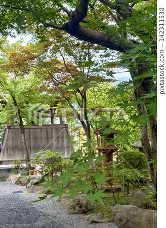 The Serenity of a Japanese Garden The Serenity of a Japanese Garden 142311538