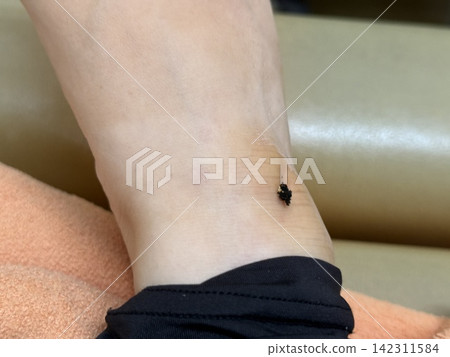艾條艾條 艾條艾條 142311584