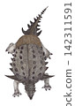 An overhead view of the ankylosaur Myomorapelta (Maimulaperta). An overhead view of the ankylosaur Myomorapelta (Maimulaperta). 142311591