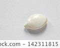 Pumpkin seed Pumpkin seed 142311815