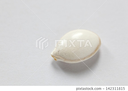 南瓜籽 南瓜籽 142311815