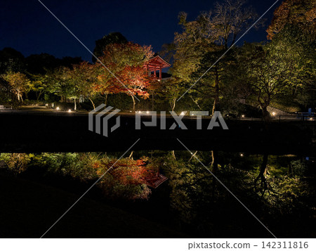 秋日花園漂浮在夜空之下 142311816