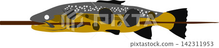 烤虹鱒魚插圖 烤虹鱒魚插圖 142311953