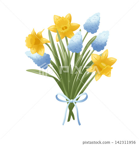 Spring bouquet of yellow daffodils, blue grape hyacinths tied with a pale ribbon, floral element for Orthodox Easter invitations, greeting cards, church announcements, seasonal holiday packaging label 142311956