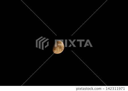 錯過了一個月 錯過了一個月 142311971