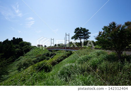 宮城縣石卷市大鹿五番所公園的天野川大橋 宮城縣石卷市大鹿五番所公園的天野川大橋 142312404