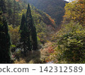 群山環繞的森林，沐浴在秋日的陽光下。 142312589