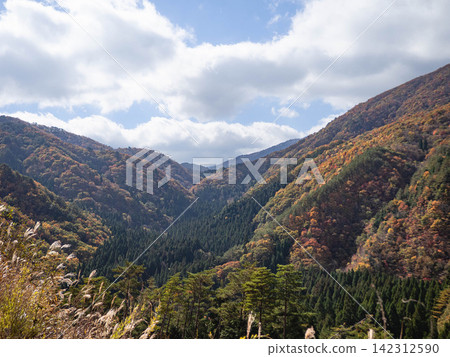 秋日的山巒和落葉,映襯著藍天白雲。 秋日的山巒和落葉,映襯著藍天白雲。 142312590