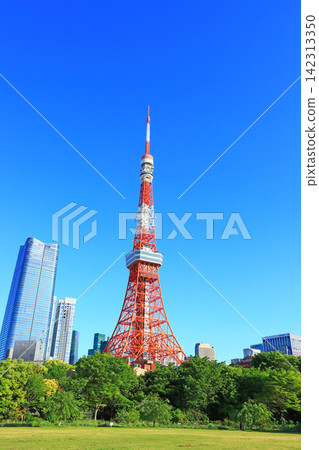 東京鐵塔和東京港區的新鮮綠地 142313350