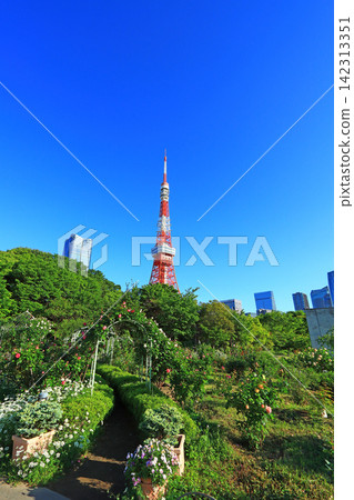 東京鐵塔和東京港區的新鮮綠地 142313351