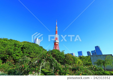 東京鐵塔和東京港區的新鮮綠地 東京鐵塔和東京港區的新鮮綠地 142313352